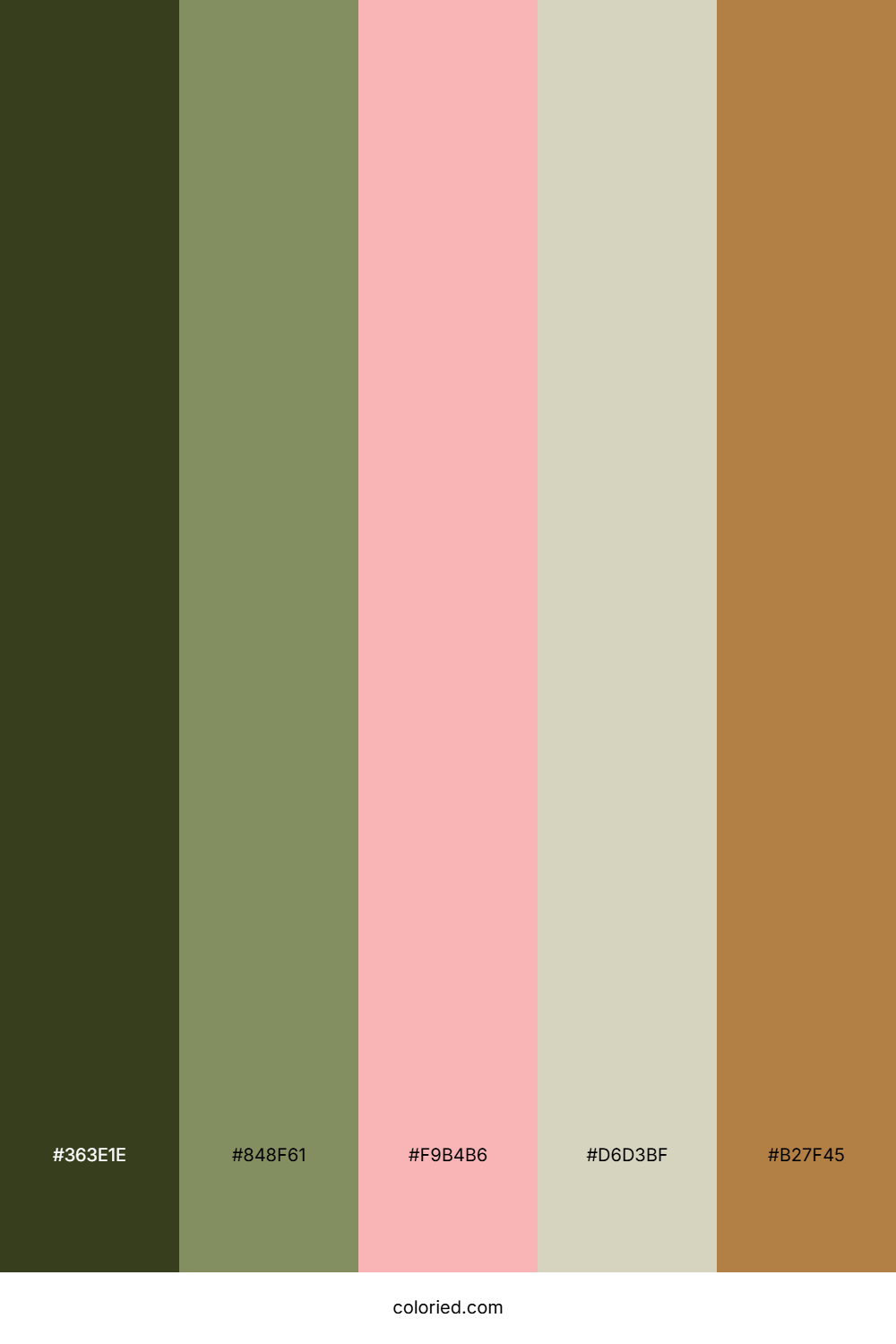 Olive Blush Sand Color Palette