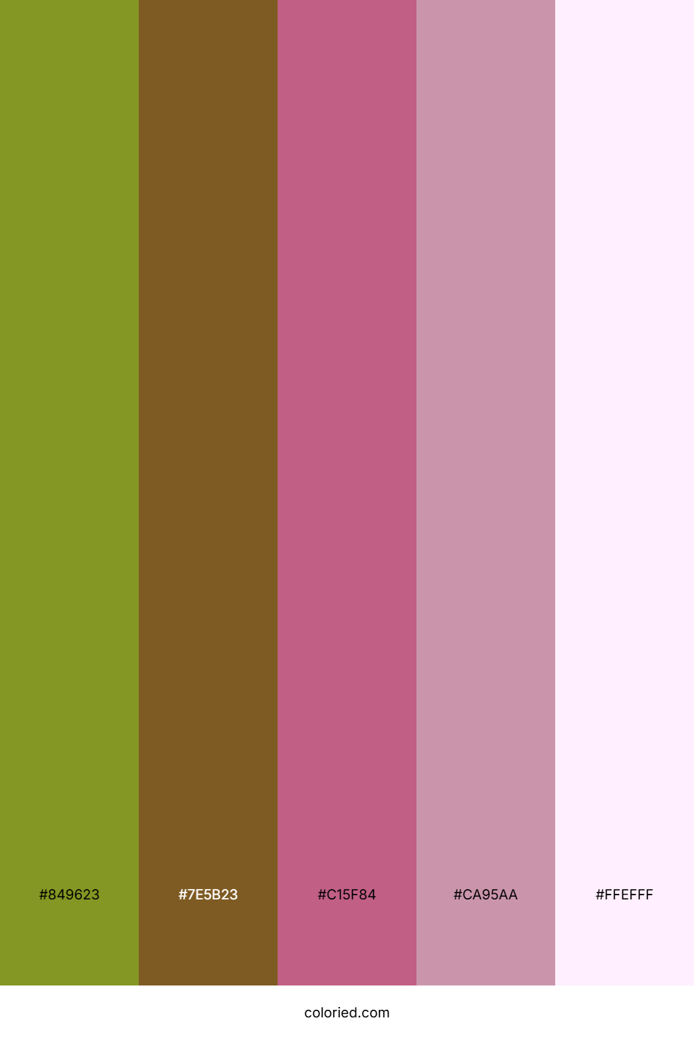 Olive Cocoa Rose Palette