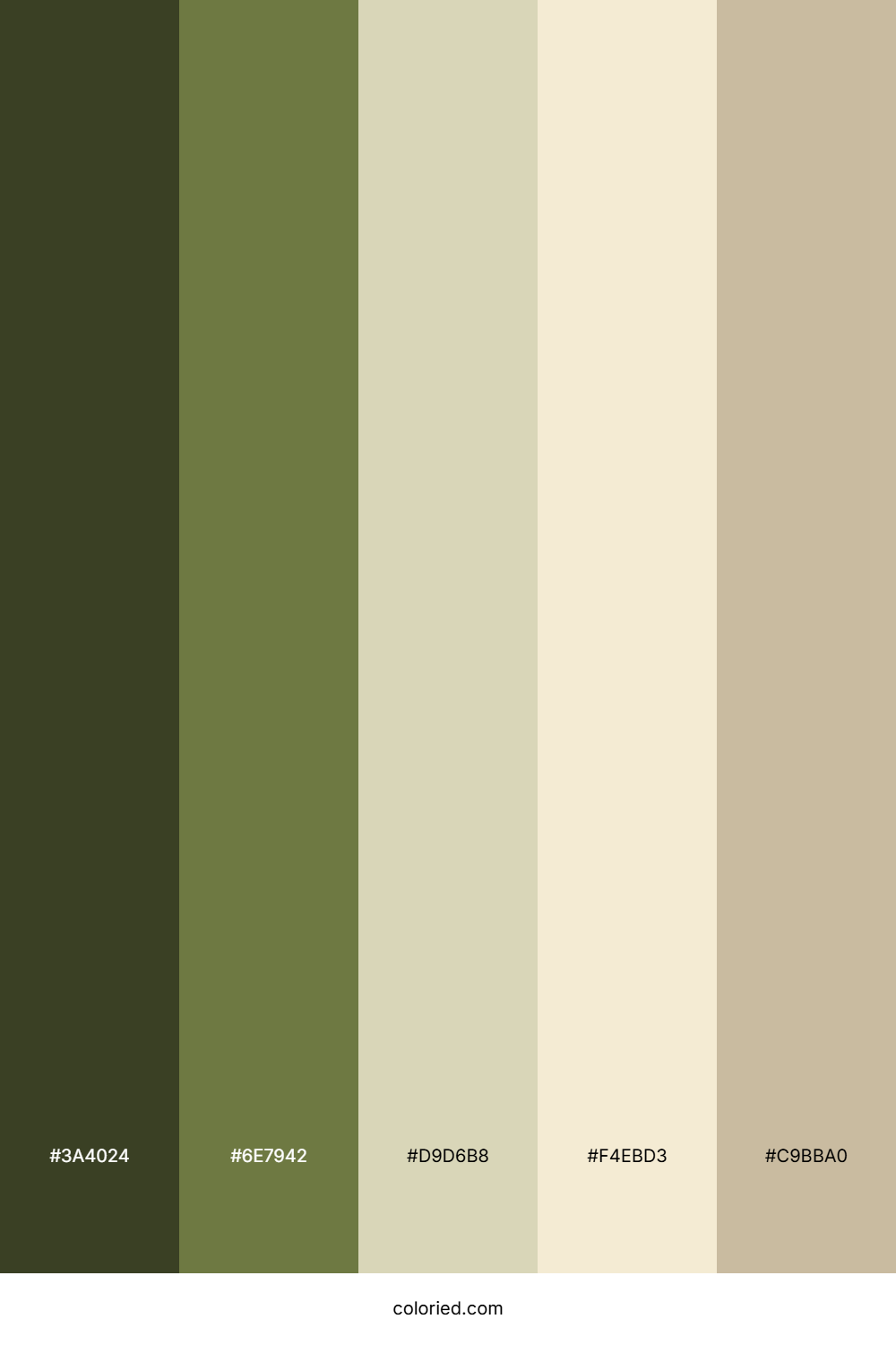 Olive Cream Color Palette