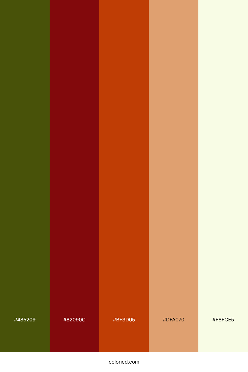 Olive Crimson Harvest Color Palette
