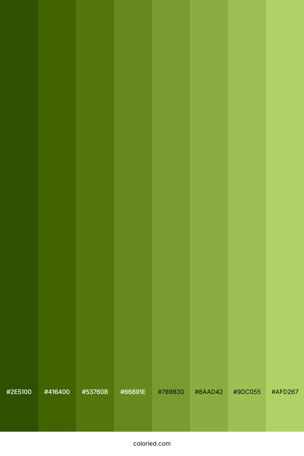 Olive Drab Shades