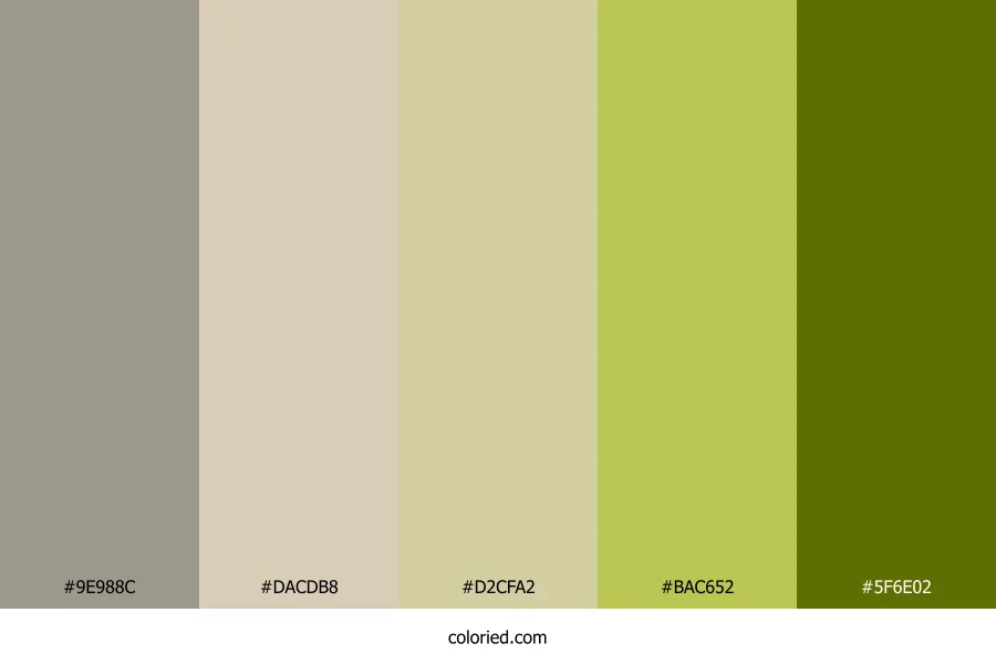 Olive Driftwood Sunset Color Palette