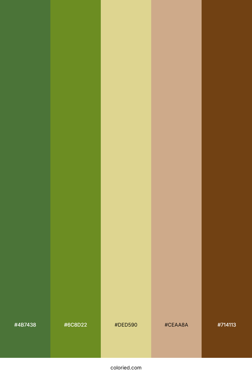 Olive Fern Hearth Color Palette