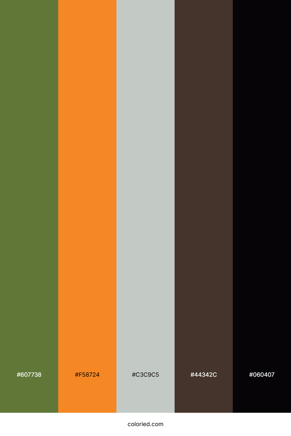 Olive Flame Shadow Color Palette