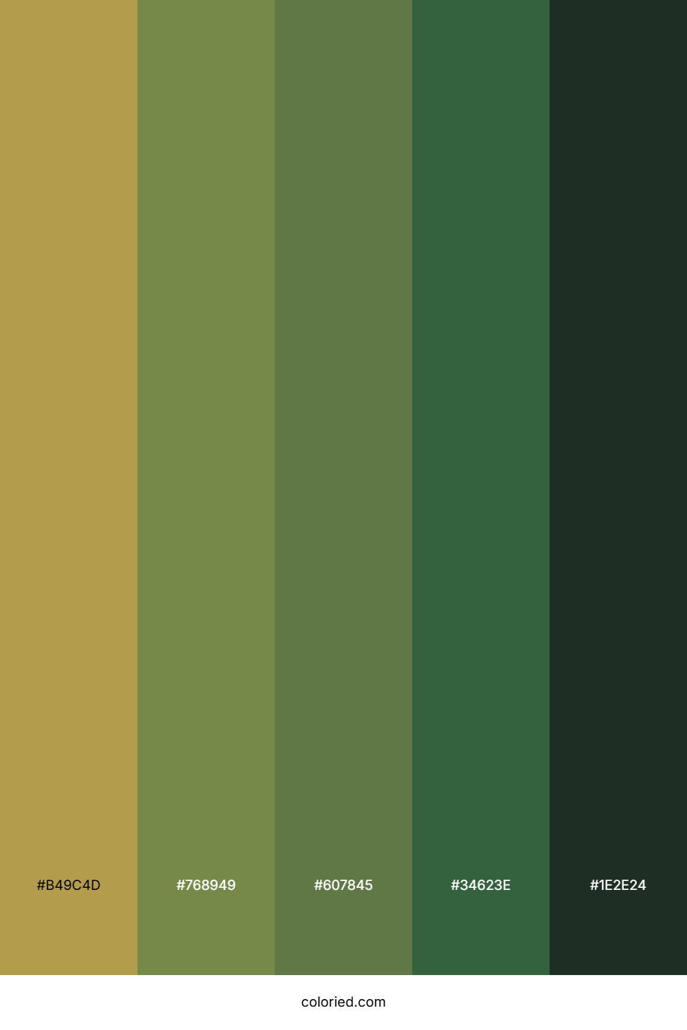 Olive Forest Trail Color Palette