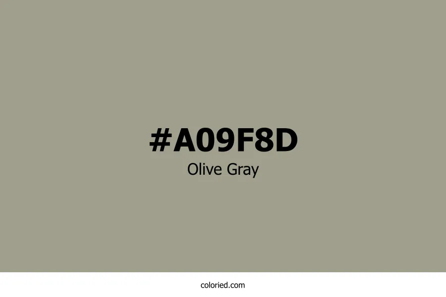 Olive Gray Color