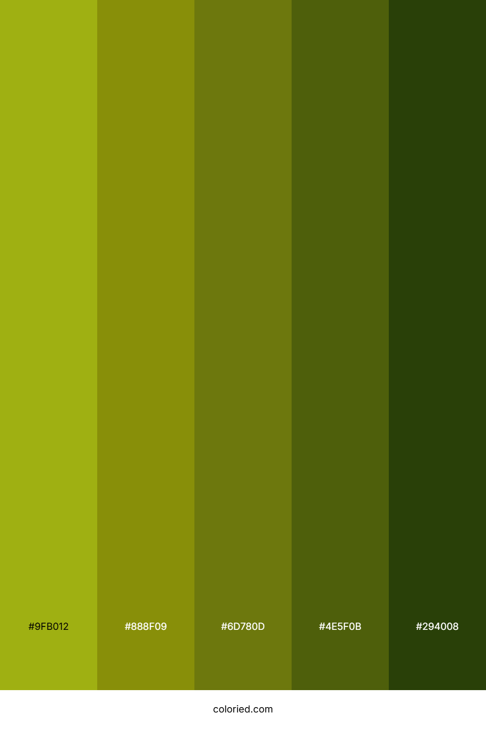 Olive Green and Dark Olive Color Palette