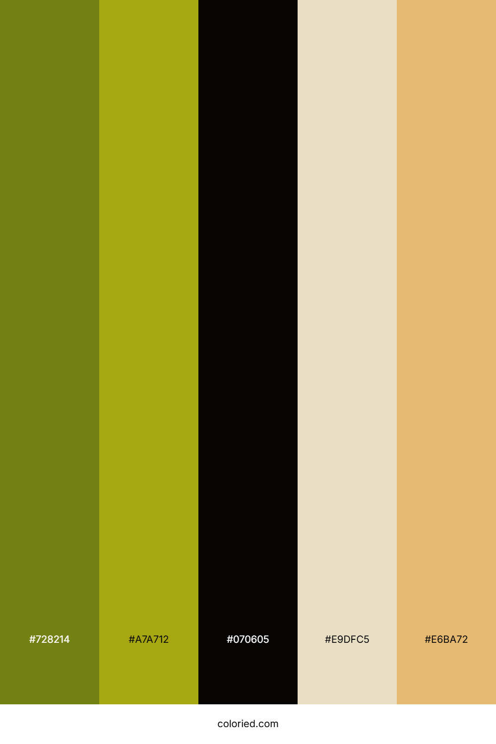 Olive Green And Earth Brown Color Palette