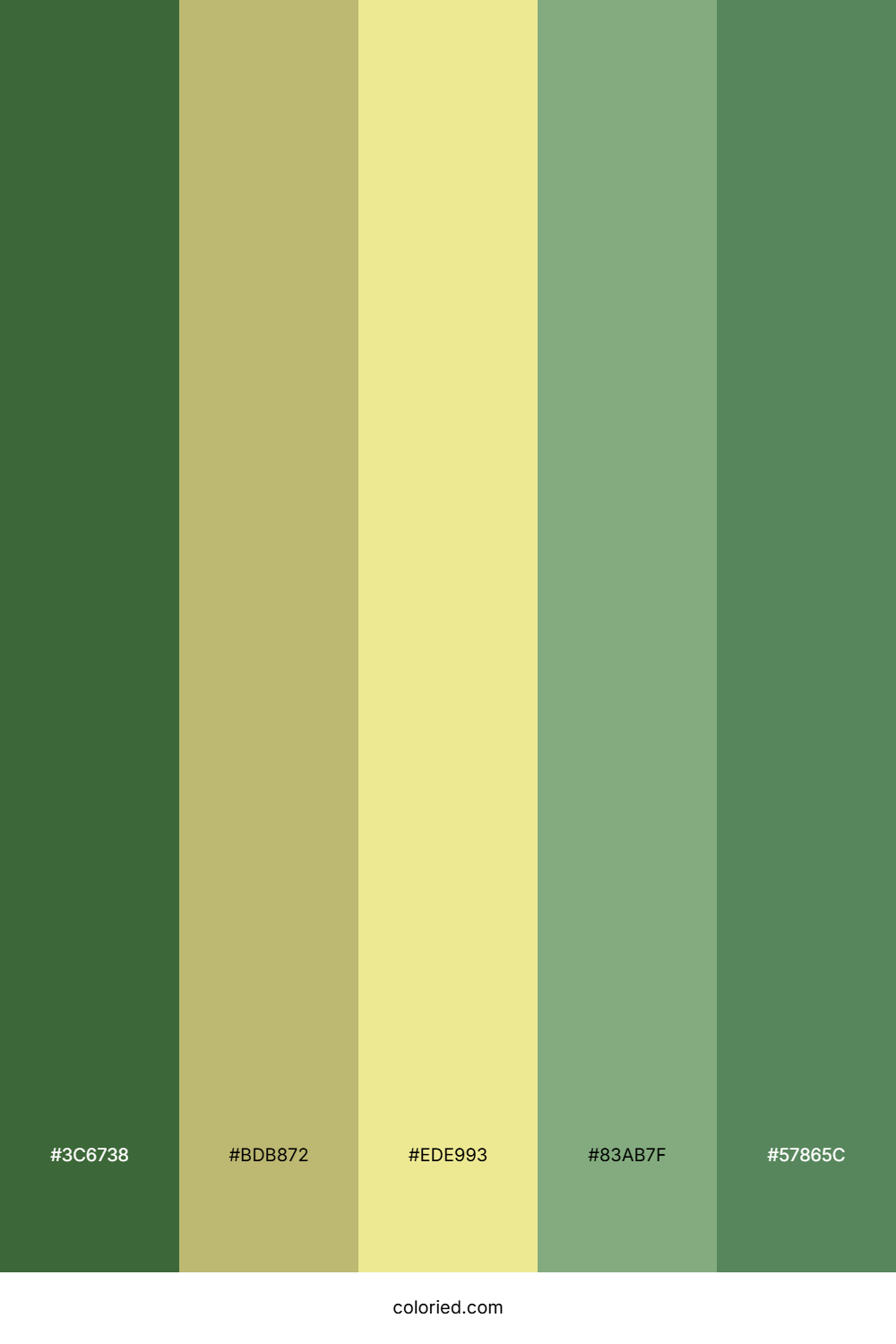 Olive Green and Khaki Color Palette