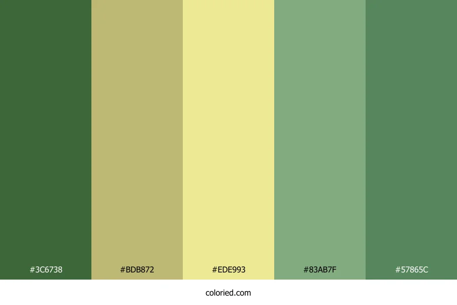 Olive Green and Khaki Color Palette