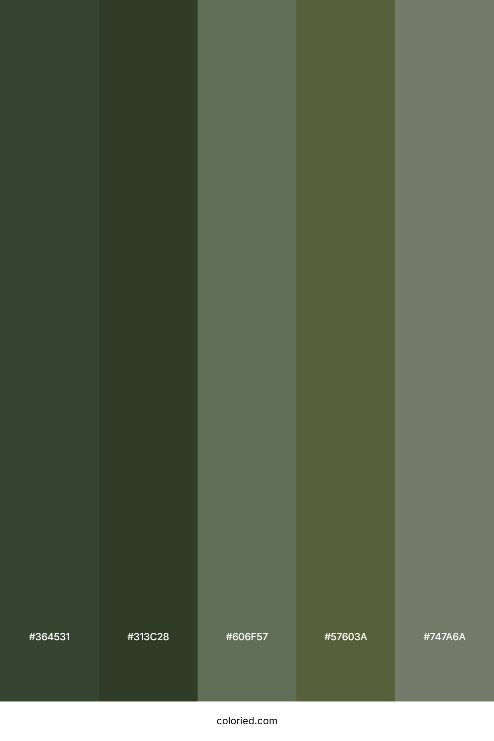 Olive Green and Moss Green Color Palette
