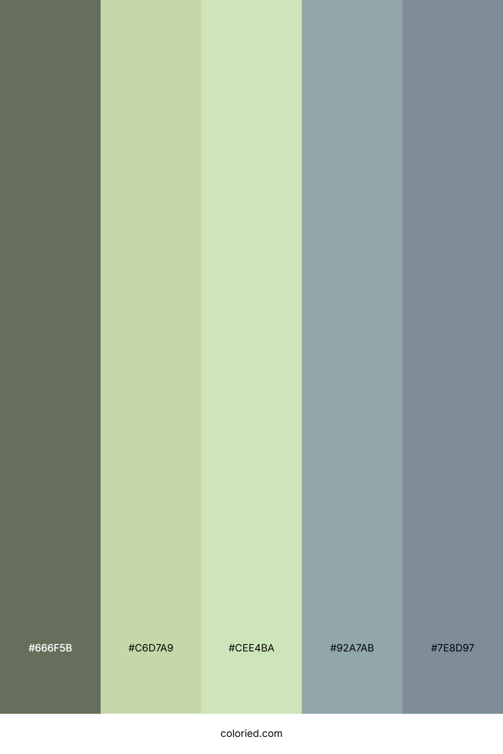Olive Green and Sage Color Palette