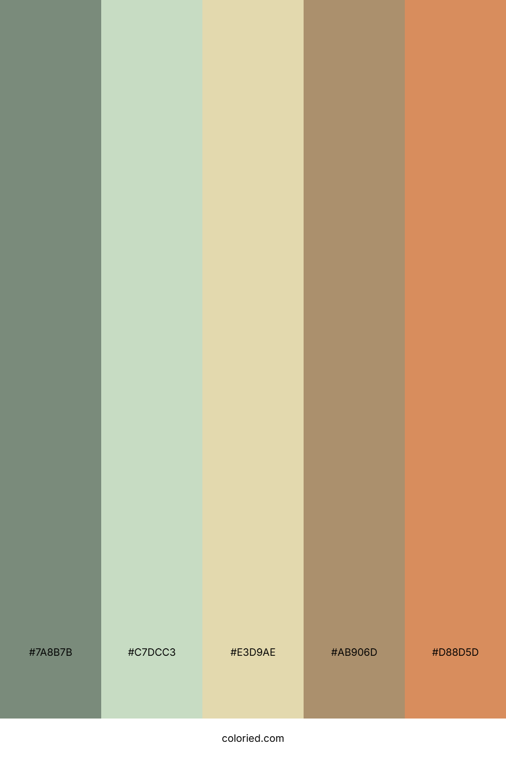 Olive Green and Sand Color Palette