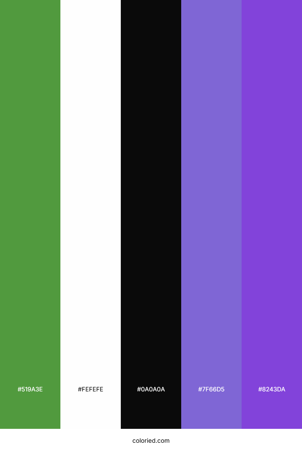 Olive Green and Violet Color Palette