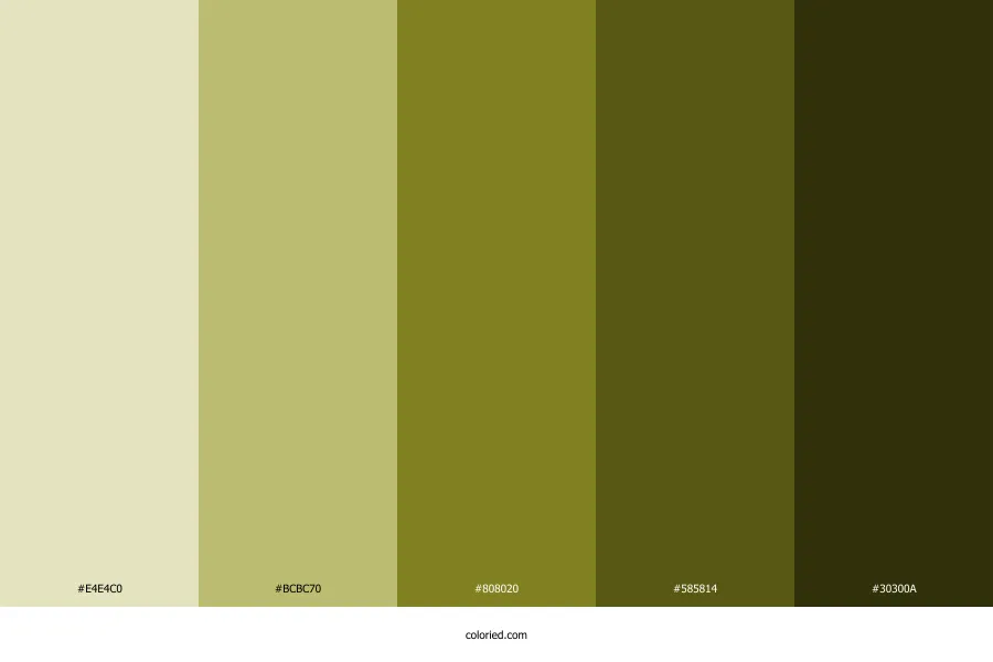 Olive Green Color Palette