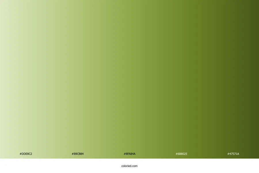 Olive Green Gradient