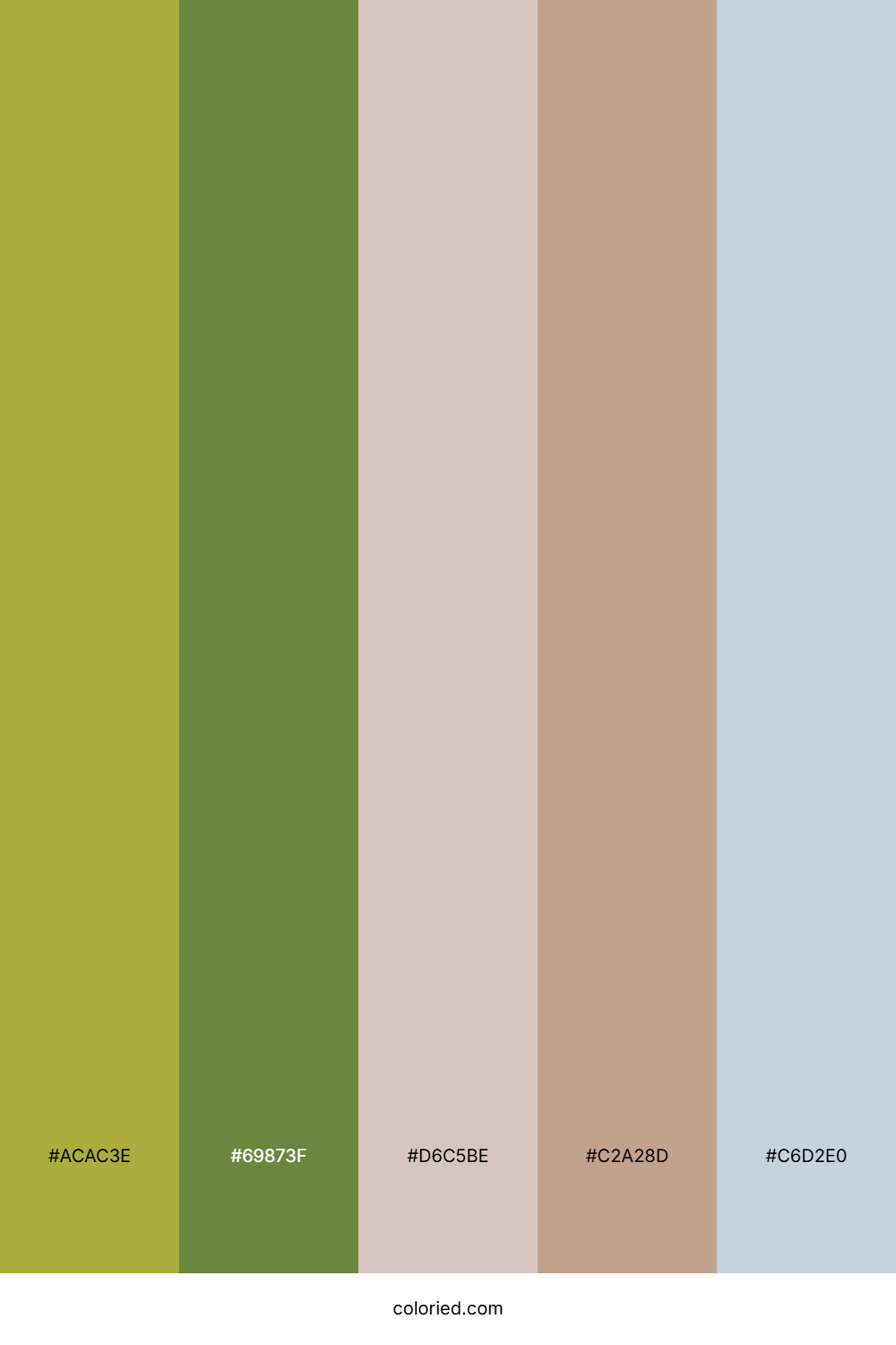 Olive Grove Dawn Palette