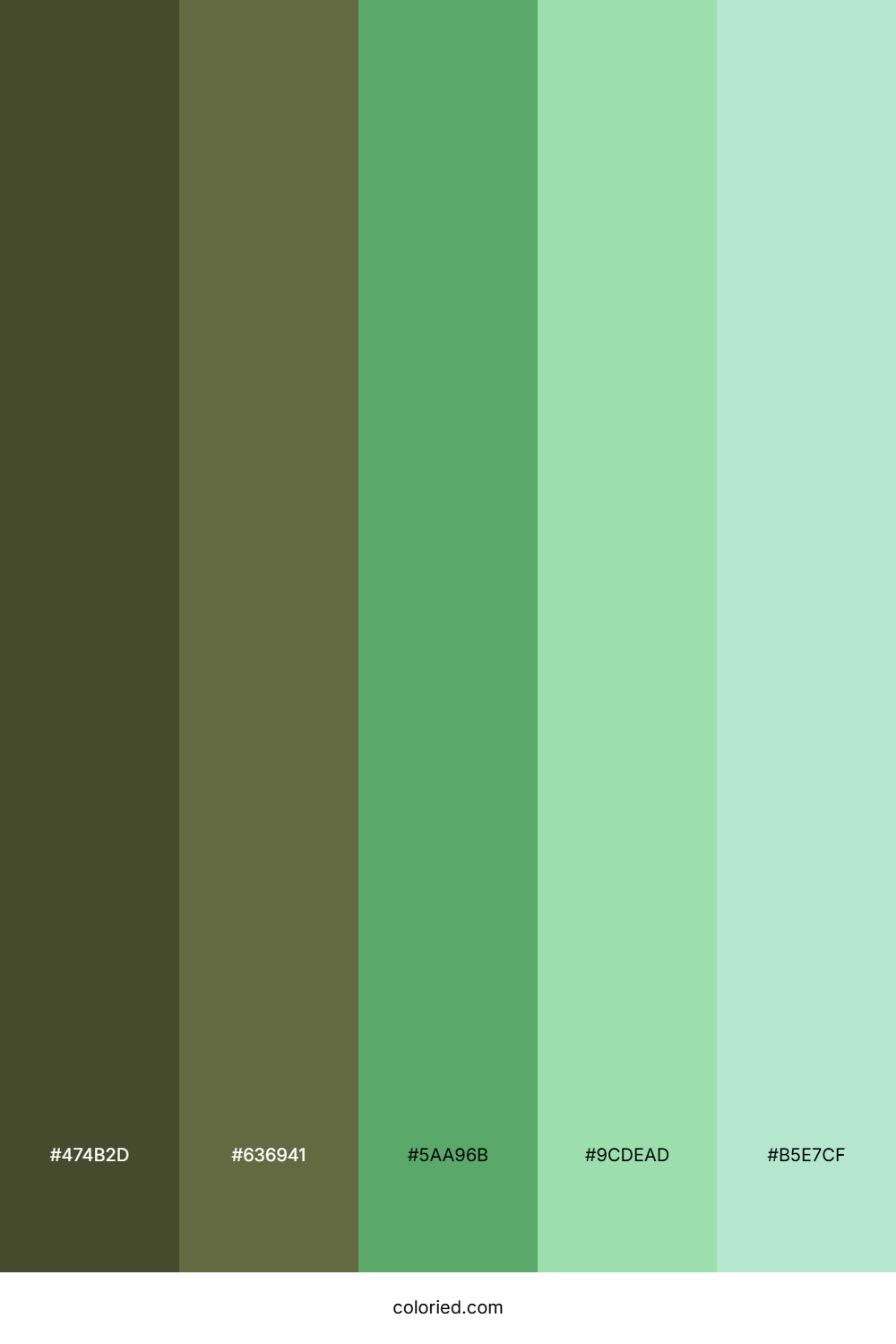 Olive Grove Light Color Palette