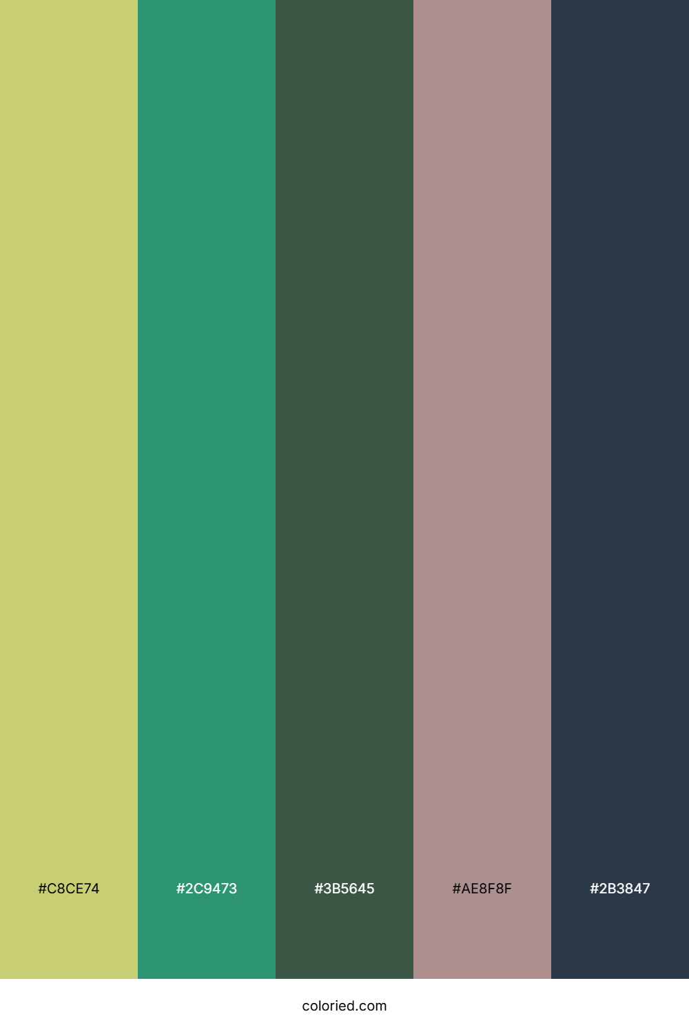 Olive Grove Mist Color Palette