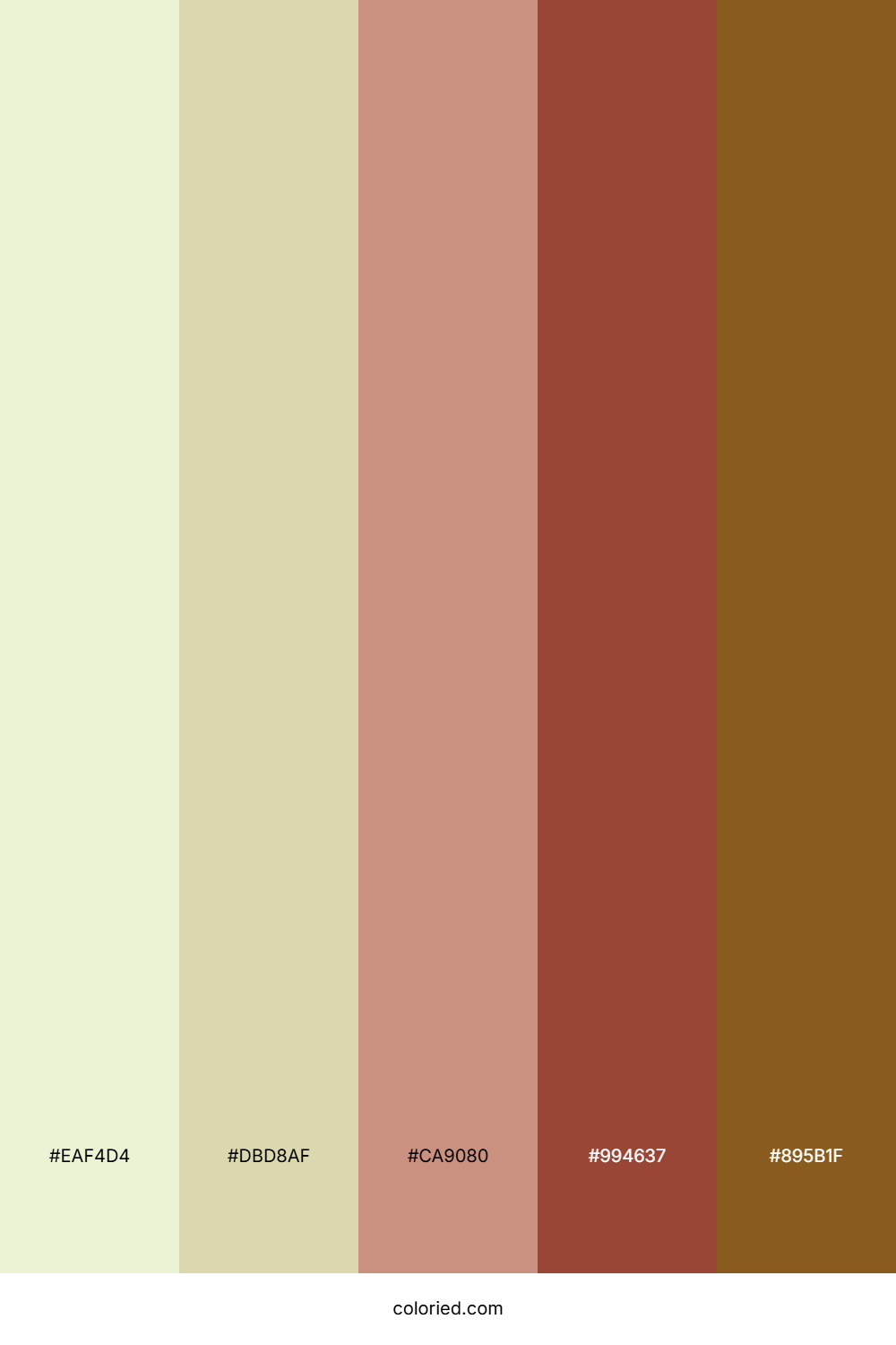 Olive Grove Sunset Color Palette