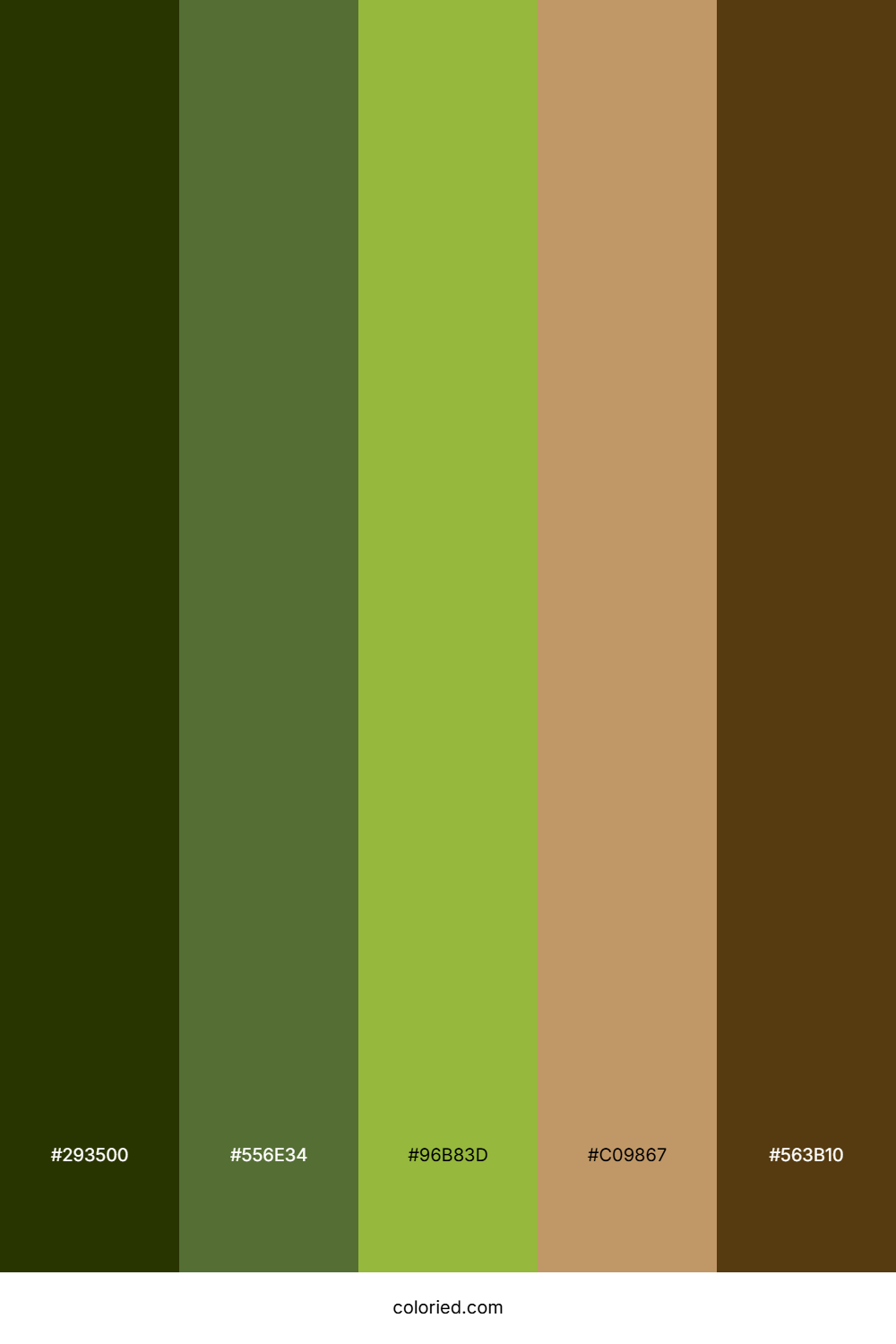 Olive Grove Trail Color Palette