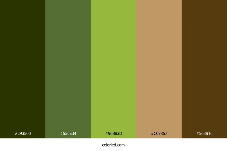 Olive Grove Trail Color Palette