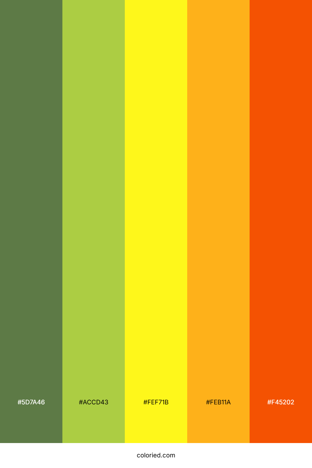 Olive Lime Sunset Palette