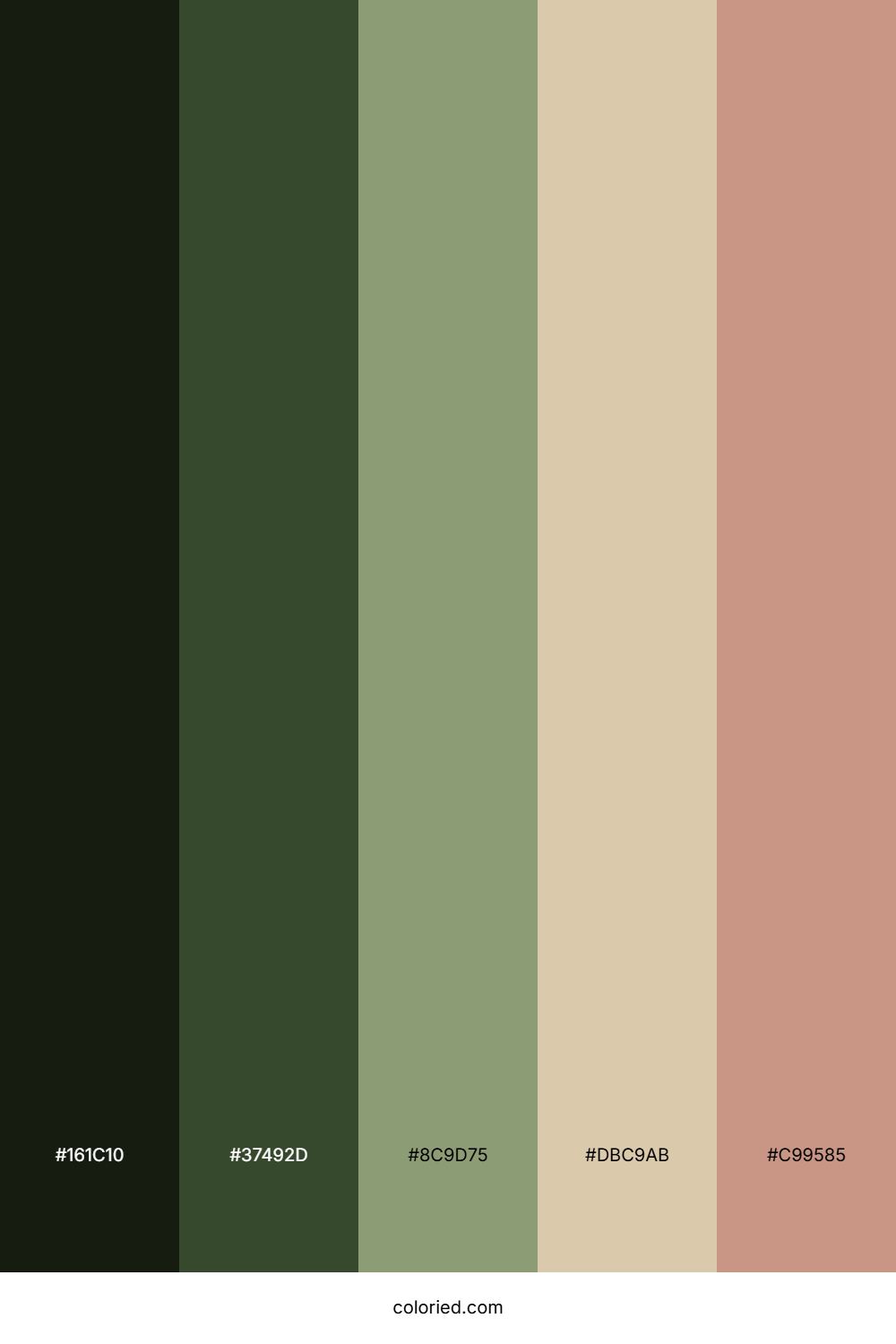 Olive Meadow Drift Palette