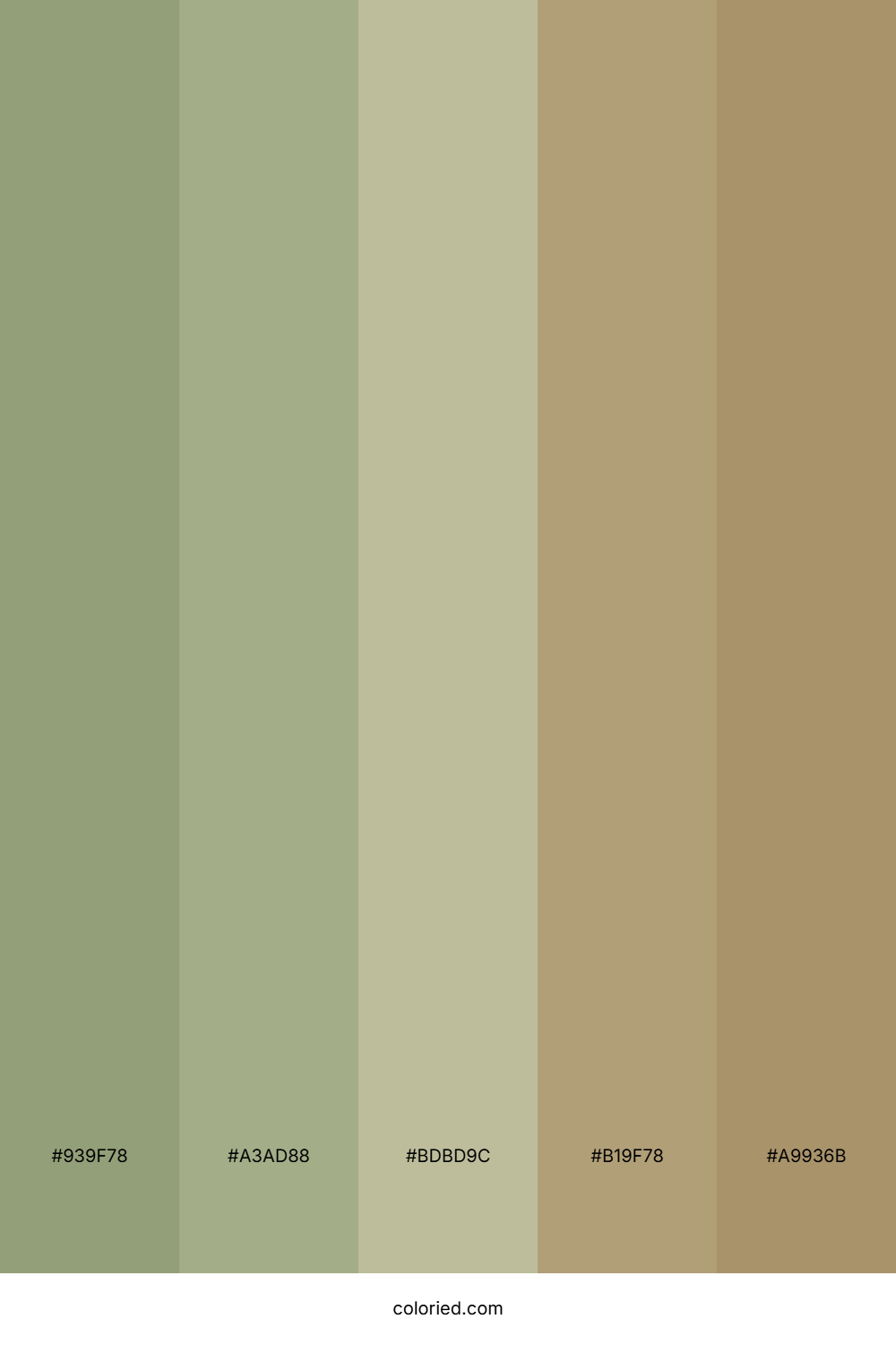 Olive Sage Drift Color Palette