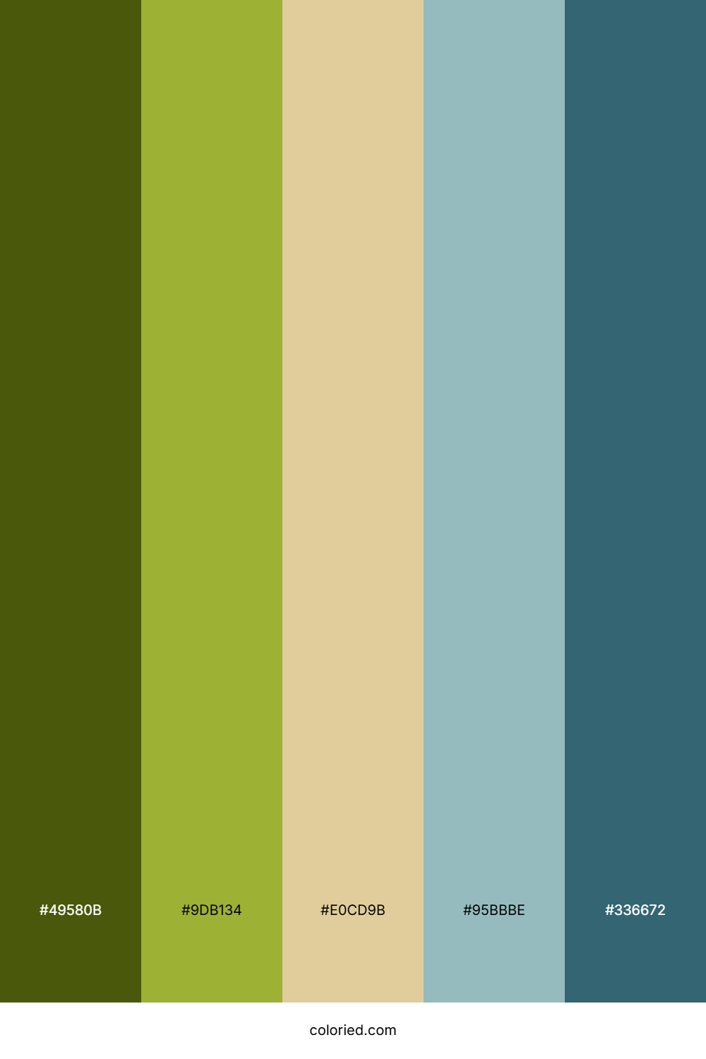Olive Sage Sky Color Palette