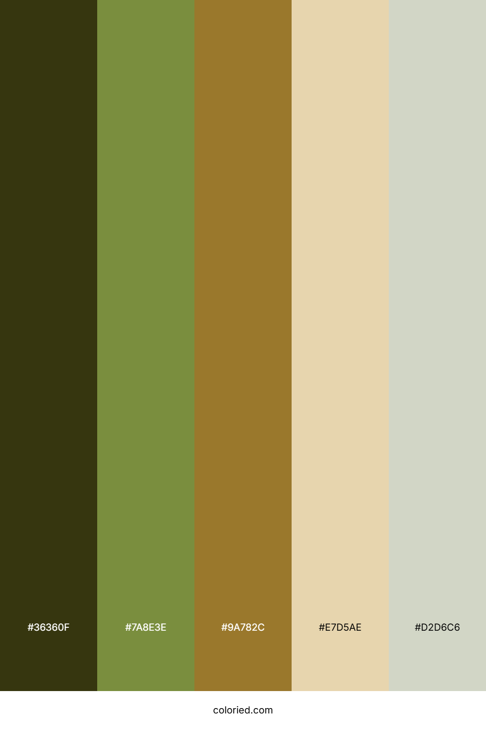 Olive Sand Dune Palette