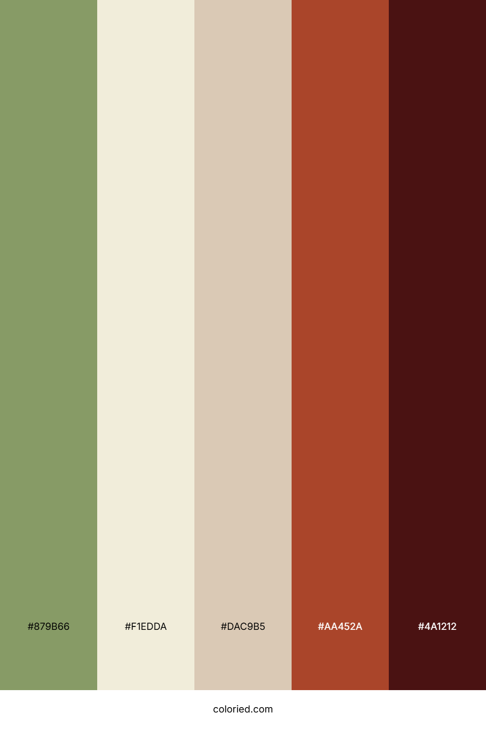Olive Sand Spice Palette