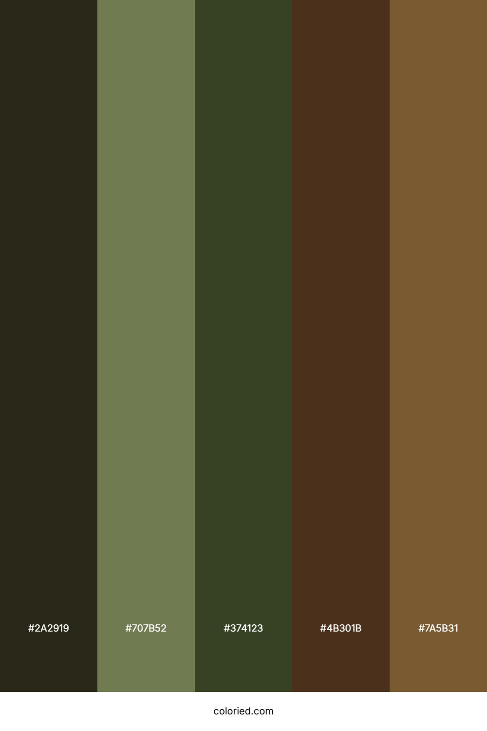 Olive Shadow Forest Color Palette