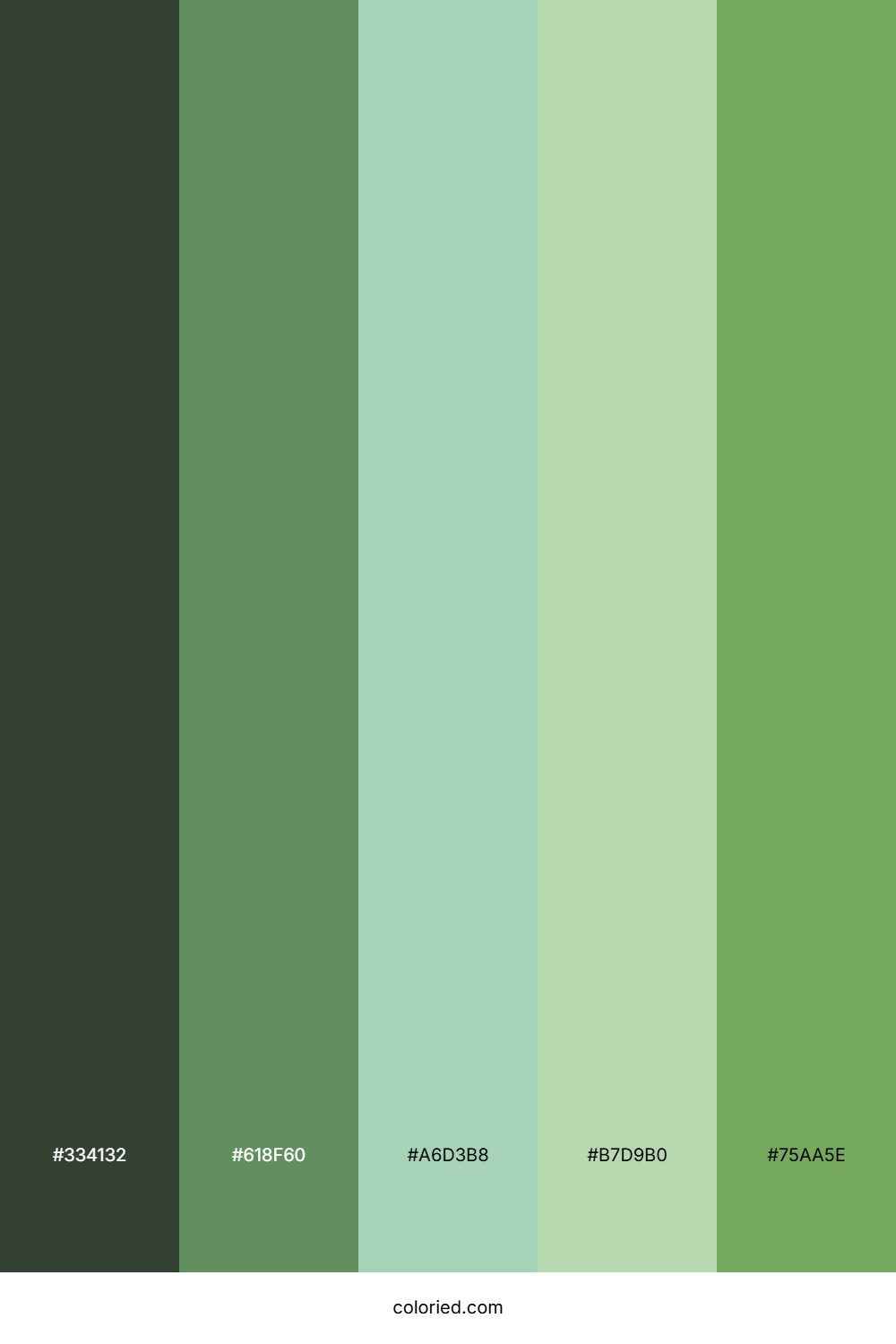 Olive Sky Mint Palette