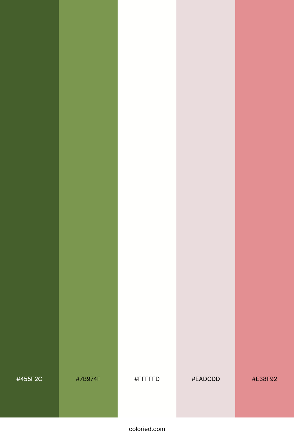Olive Spring Dawn Color Palette