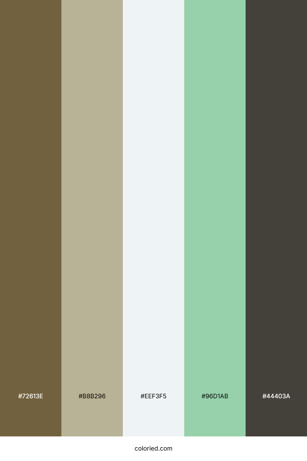 Olive Stone Path Color Palette