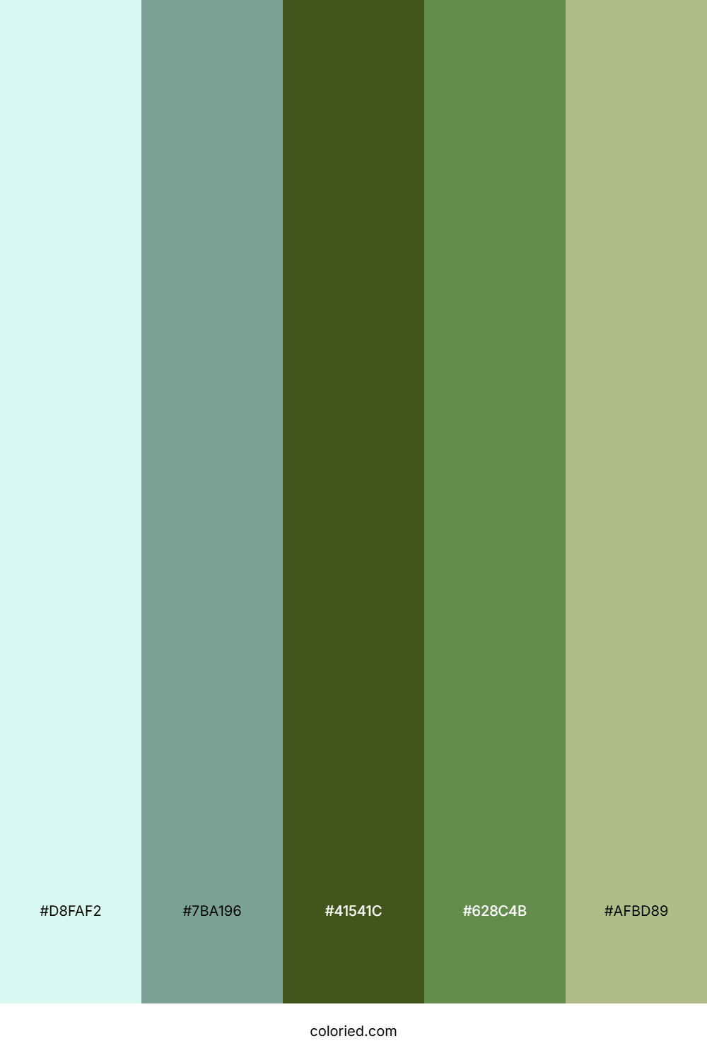 Olive Woodland Trail Color Palette