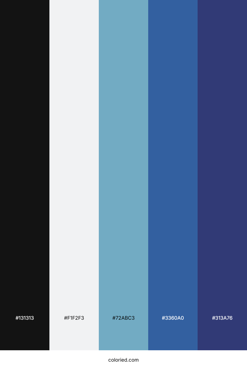 Onyx And Cerulean Color Palette