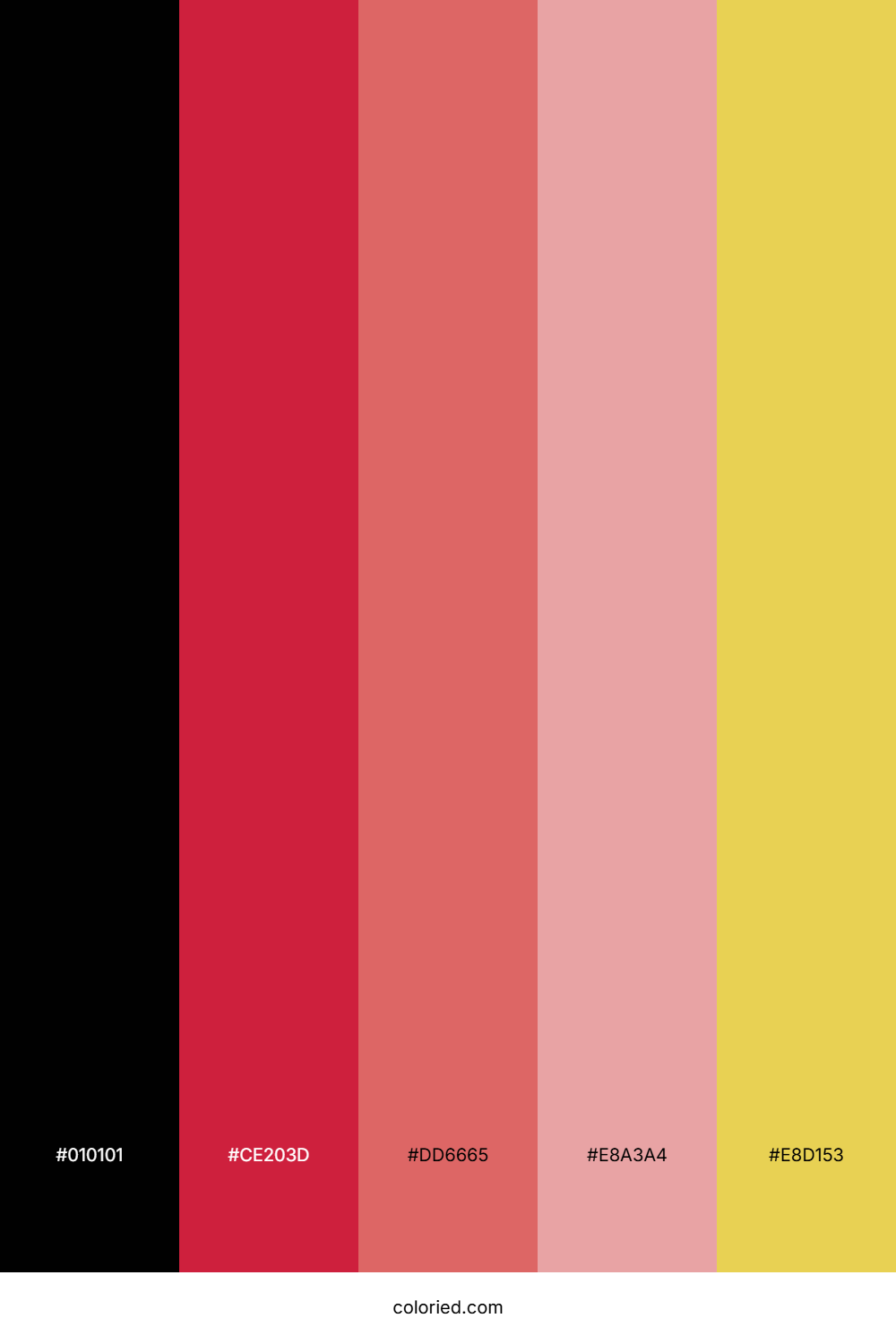 Onyx Cherry Blossom Color Palette