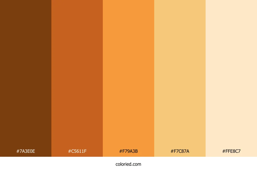 Orange Aesthetic Color Palette