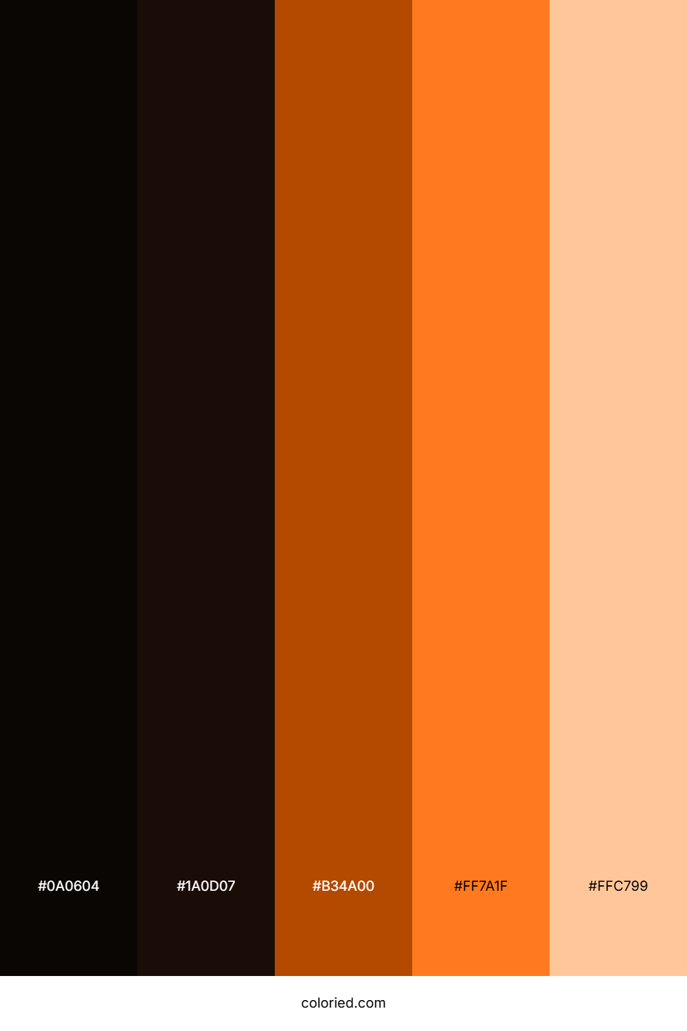 Orange and Black Color Palette