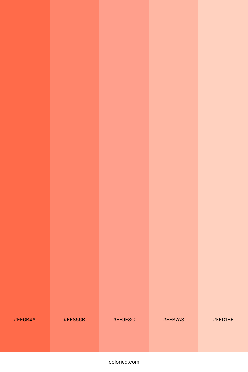 Orange Coral Color Palette