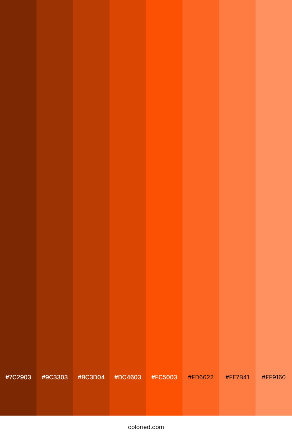 Orange Shades