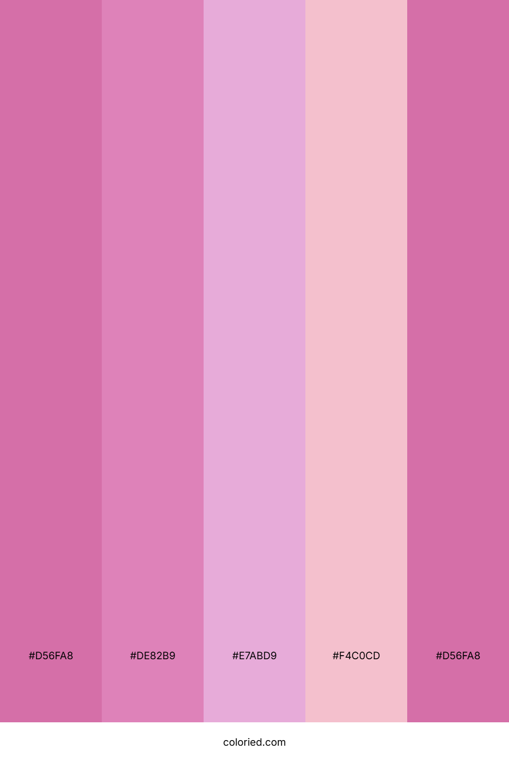 Orchid And Pink Color Palette