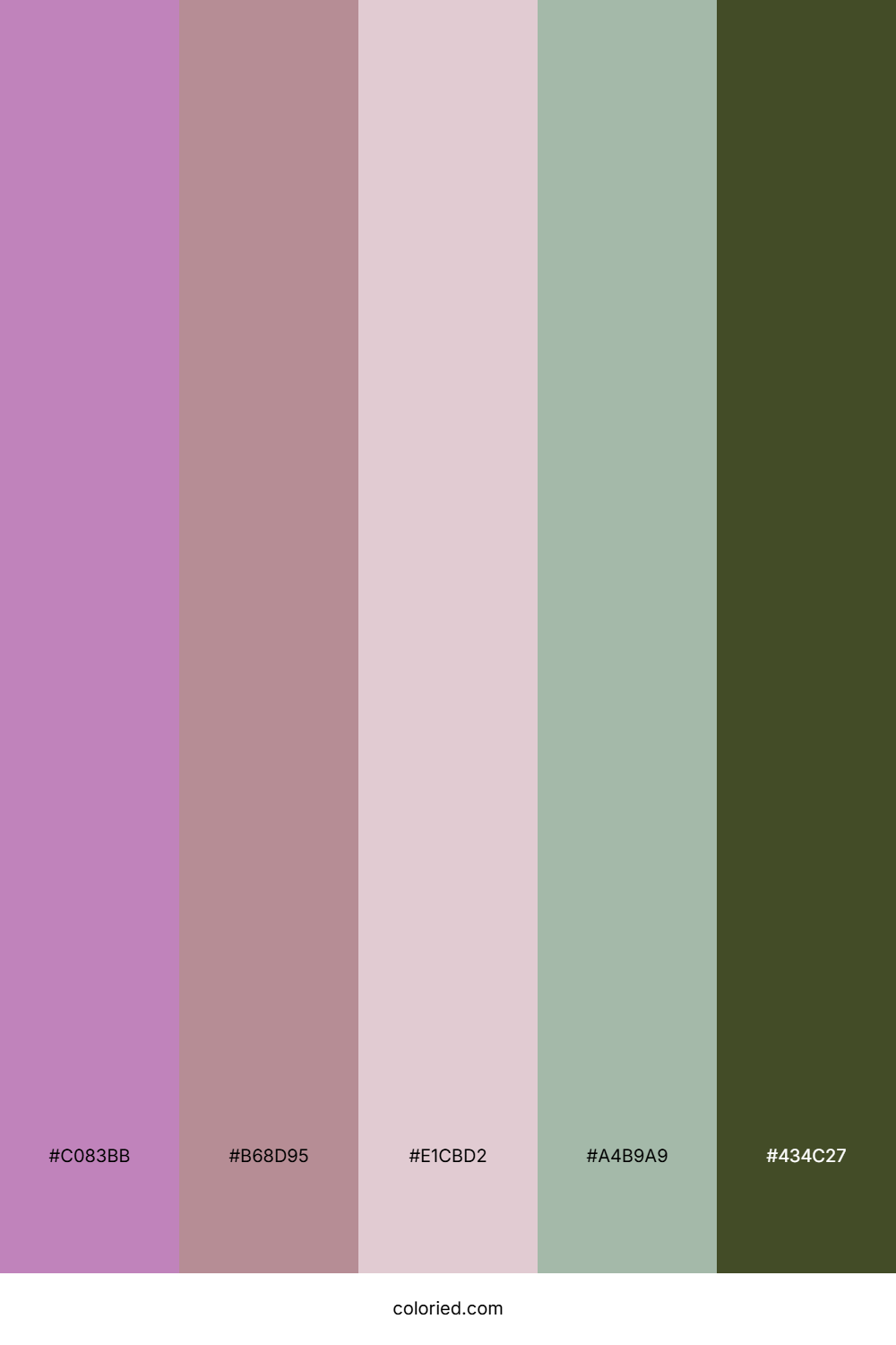 Orchid Blush Sage Color Palette