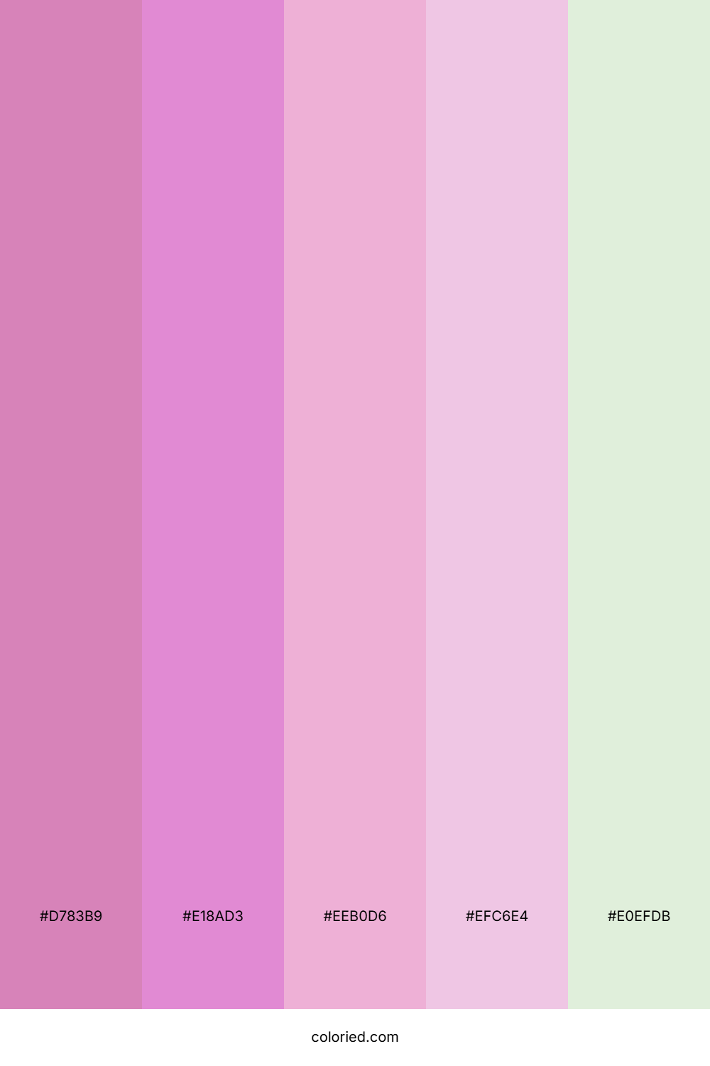 Orchid Petal Mist Color Palette