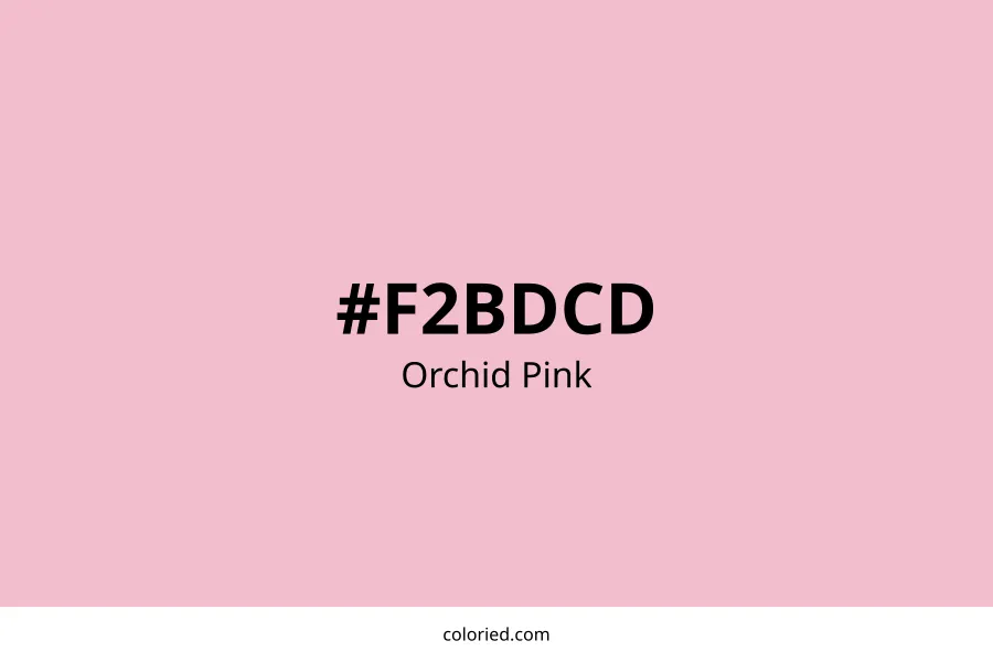 Orchid Pink Color