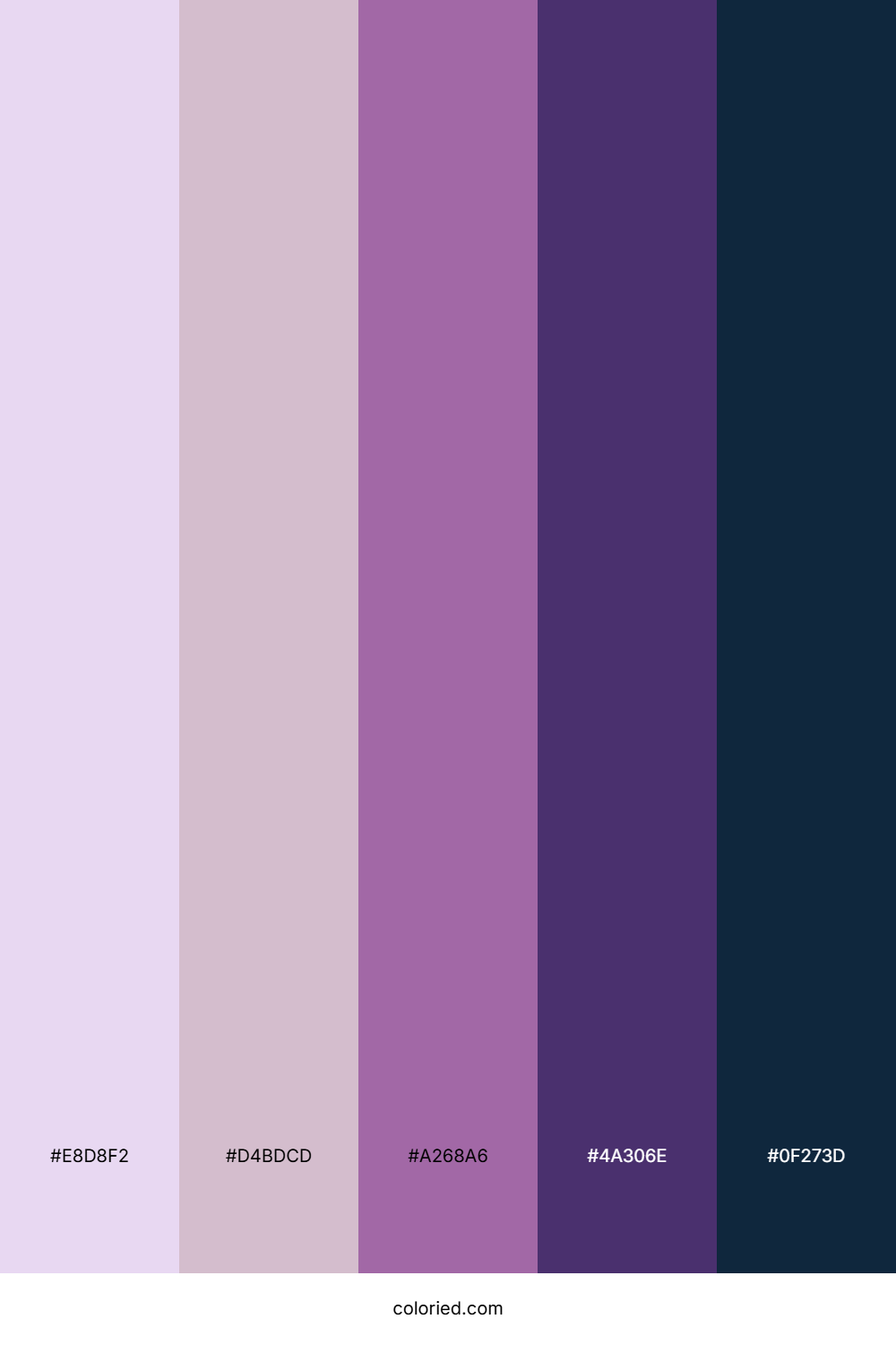 Orchid Twilight Nebula Color Palette