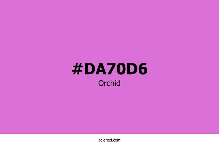 Orchid Color Hex Code