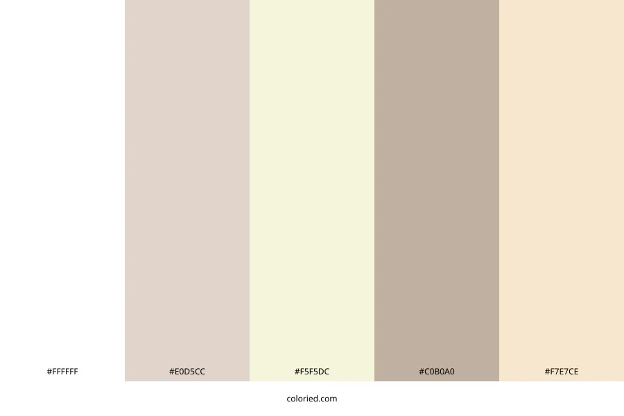Oyster White Color Palette